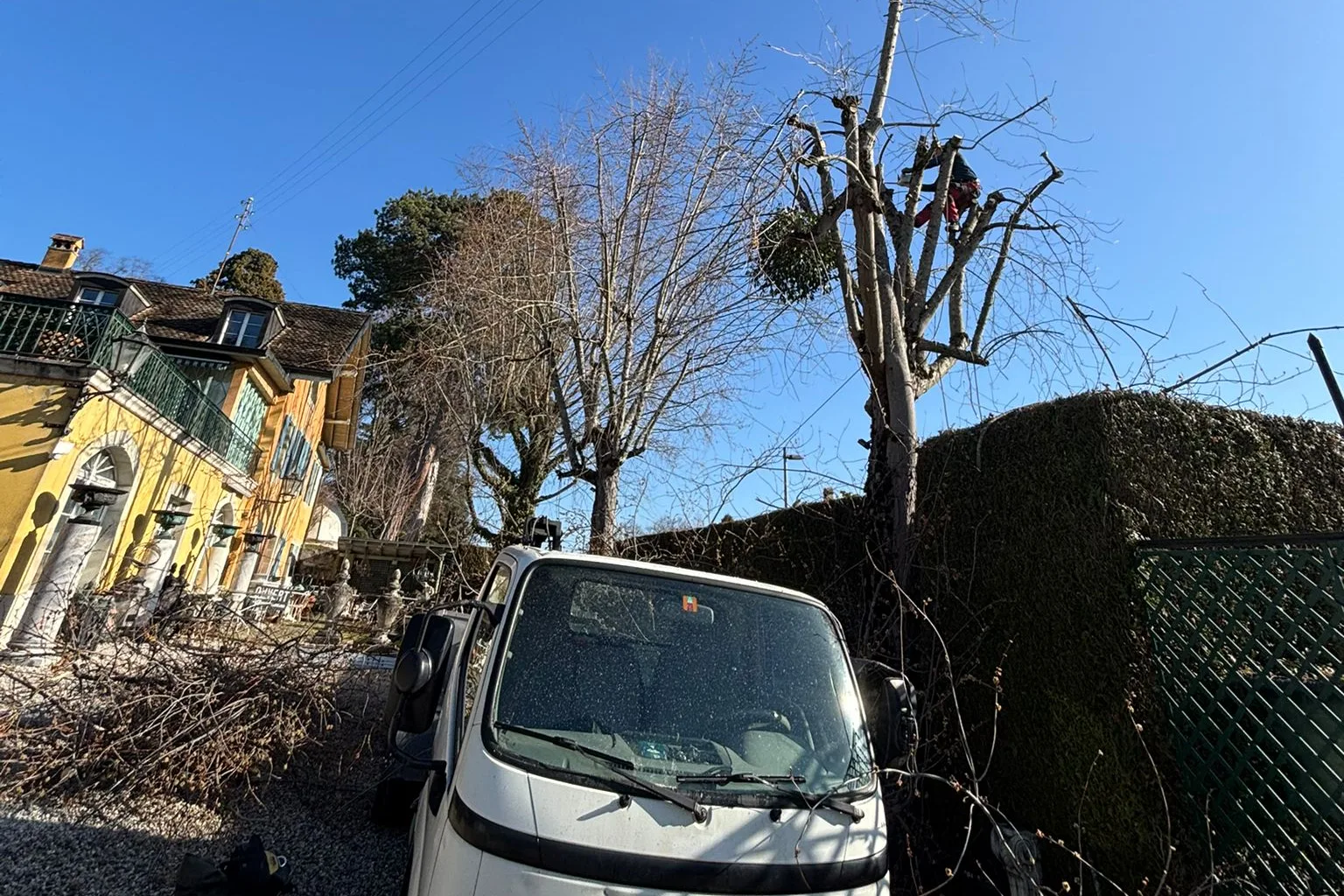 Chantier d’élagage d’un arbre par Jardinier de la Côte